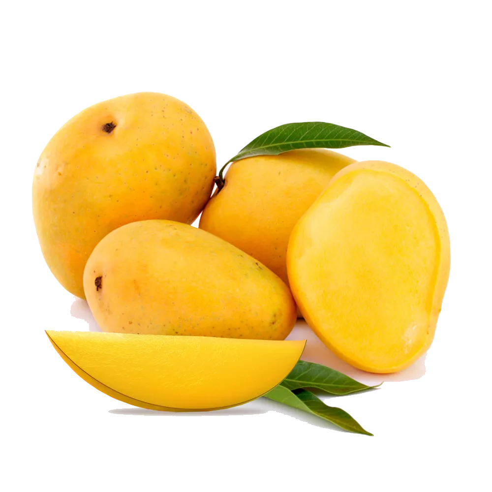mhsons%20Foods%20Pakistan